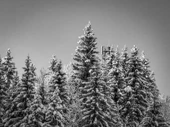 Slope photo 3
