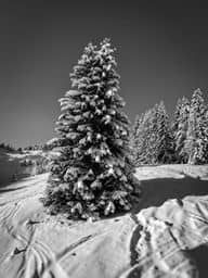 Slope photo 4