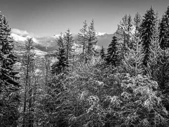 Slope photo 6