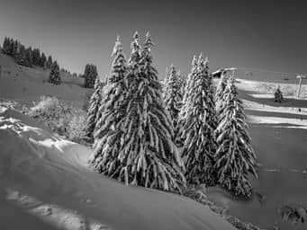 Slope photo 9