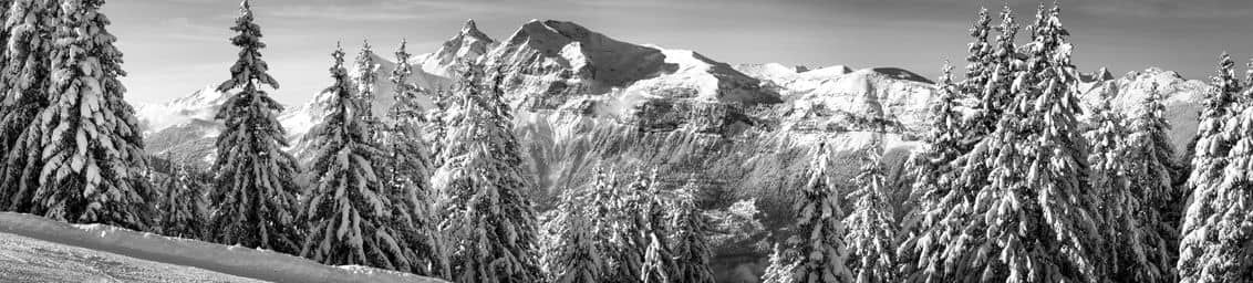 Slope photo 12