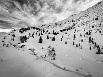 Skiing action